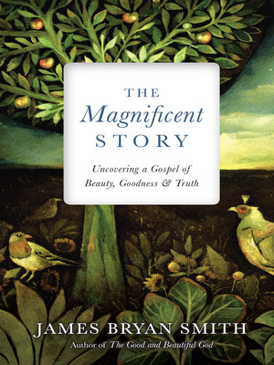 cover image of The Magnificent Story: Uncovering a Gospel of Beauty, Goodness, and Truth